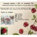 Вишня Лада